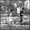 平成20年5月上旬号