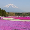 平成27年4月下旬号